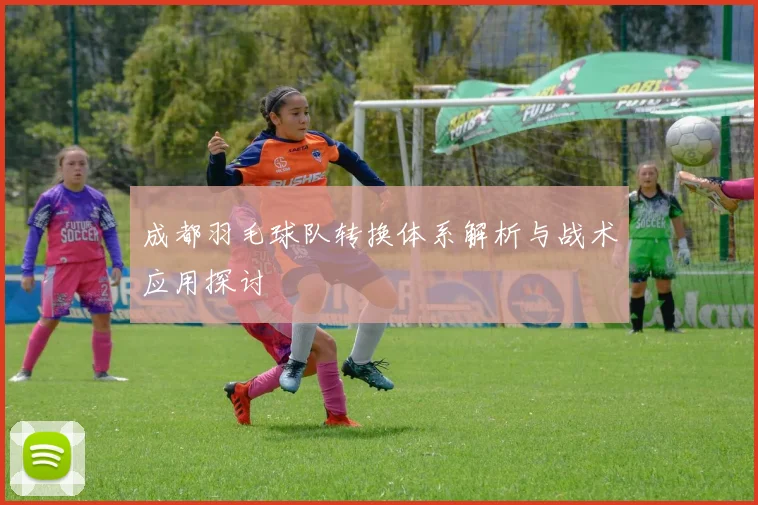 成都羽毛球队转换体系解析与战术应用探讨