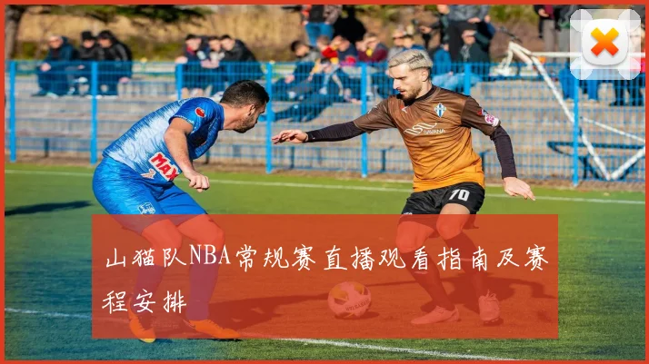 山猫队NBA常规赛直播观看指南及赛程安排