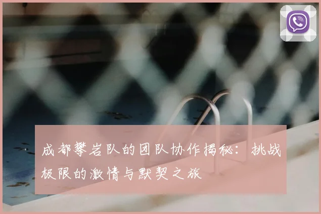 成都攀岩队的团队协作揭秘：挑战极限的激情与默契之旅